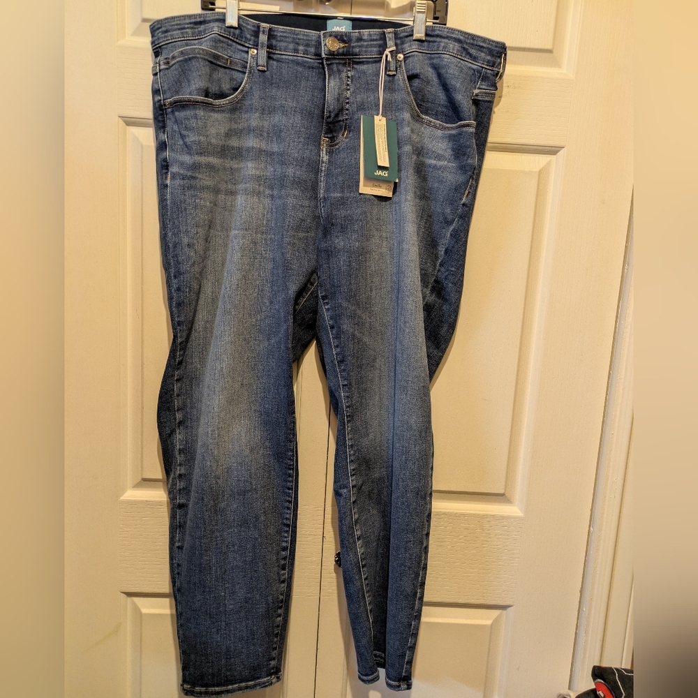 Jag Mid Rise Cecilia Skinny In Sky Blue Plus Size 22W New With Tags! - Picture 2 of 16